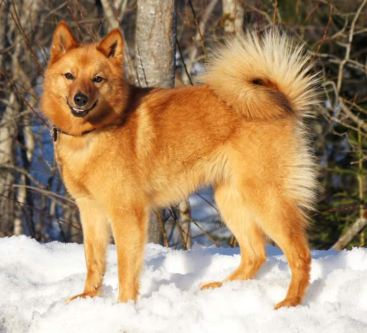 FB_IMG_1450786186956