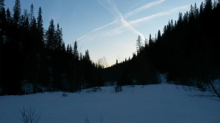 12494748_10153174744776876_360522562007982924_n