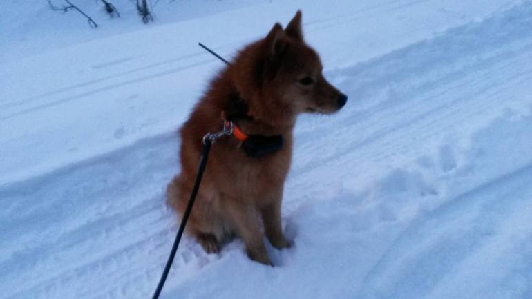 21515_10153174744511876_91099866495596351_n