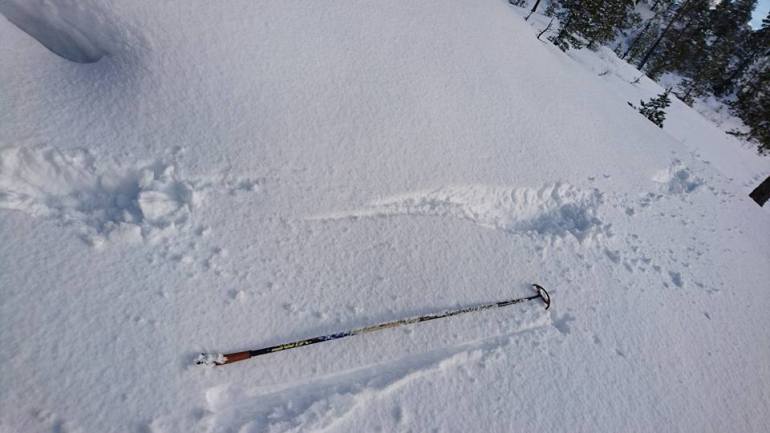 10366195_10153311563886876_6633706304813856568_n