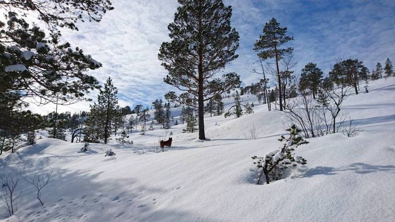 12439027_10153308844411876_2160036326898952289_n