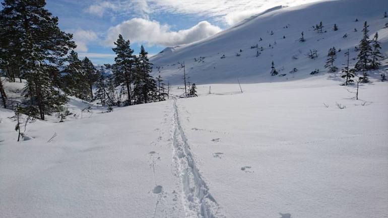 12472745_10153308844441876_6221771820475705355_n