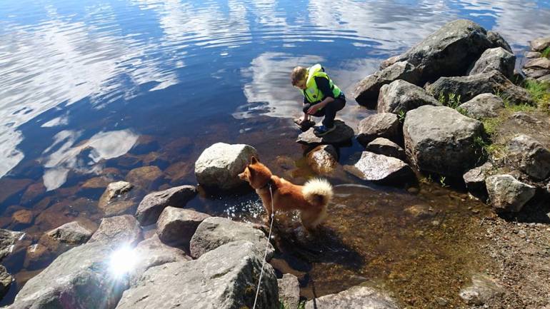 13417441_10153474194311876_5592231703495984246_n