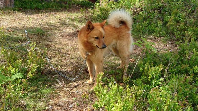 13428614_10153474194056876_172839164054625724_n