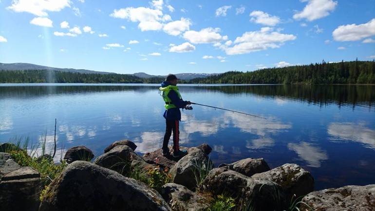 13445764_10153474194536876_4095298506020295025_n