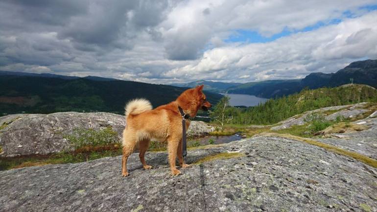 13599982_10153522802426876_2482650811545912393_n