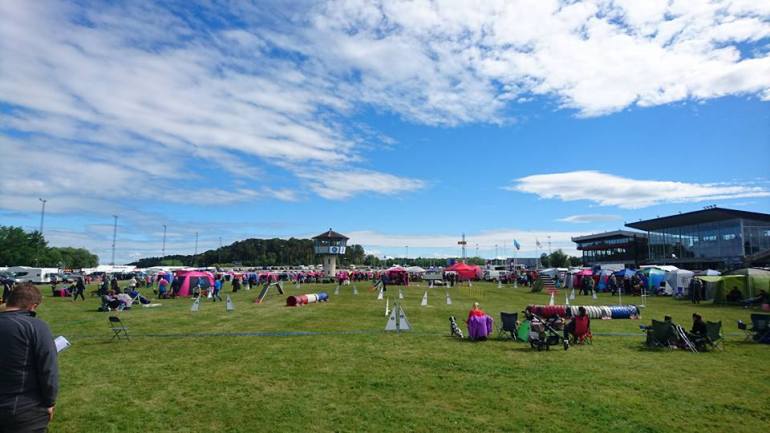 13606885_10153523449436876_1353917608923011671_n[1]