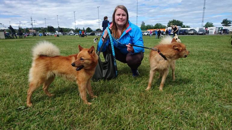 13606962_10153523449596876_7066121337532381900_n