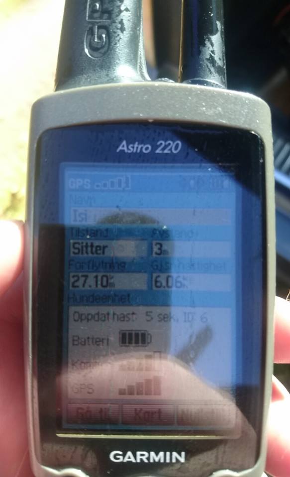 14333695_10153681544511876_8674721359454121352_n