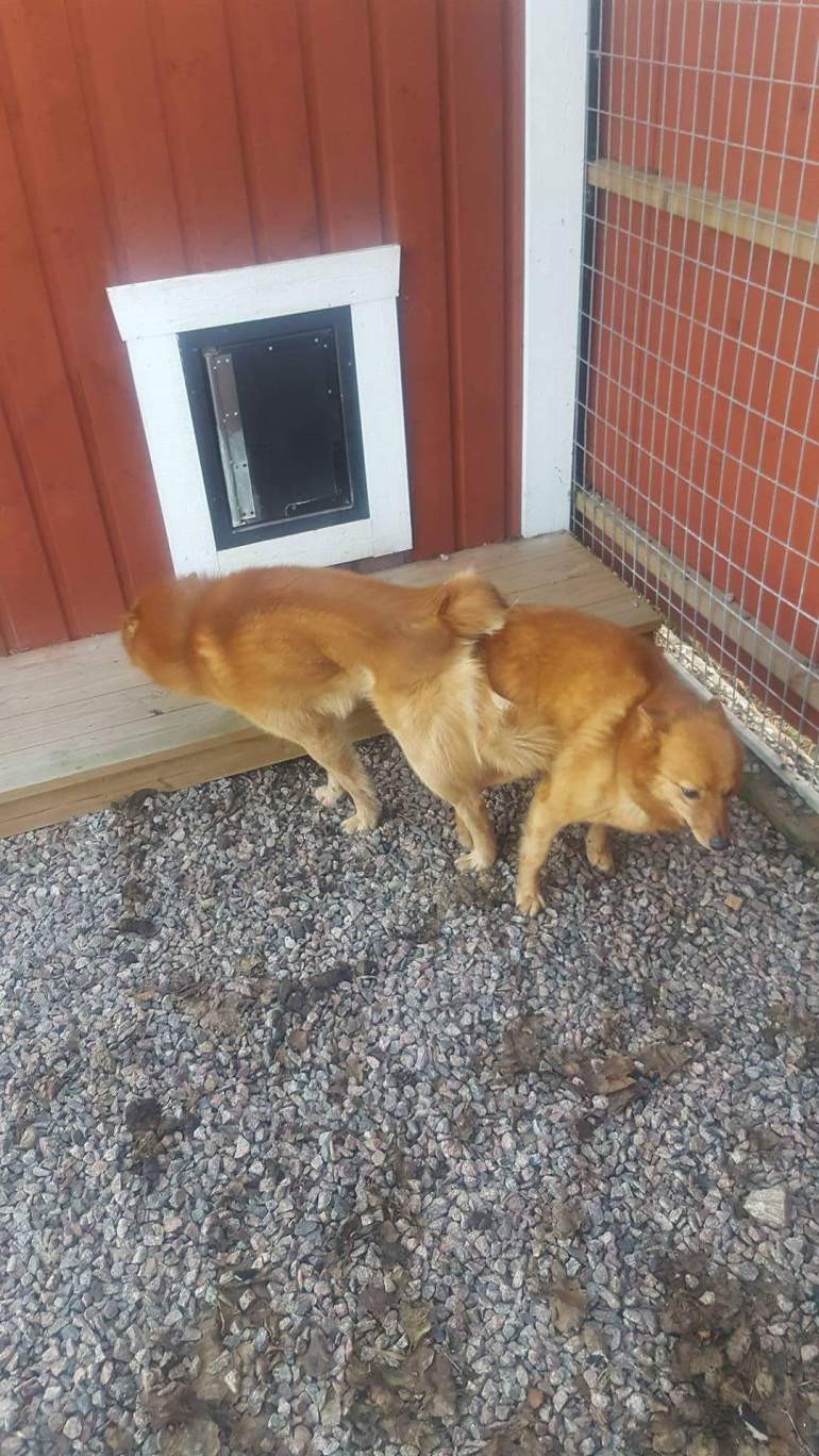 received_409251166086660