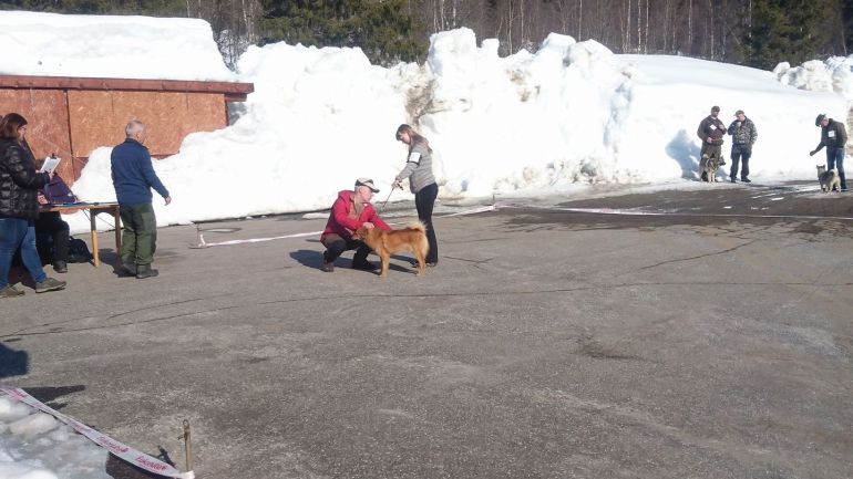 18208968_10154296685531876_8367294324508227300_o